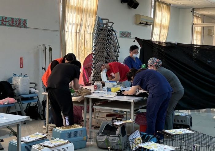 偏鄉暖心相伴！犬貓絕育巡迴列車年度壓軸場為毛孩健康畫下最溫柔的句點