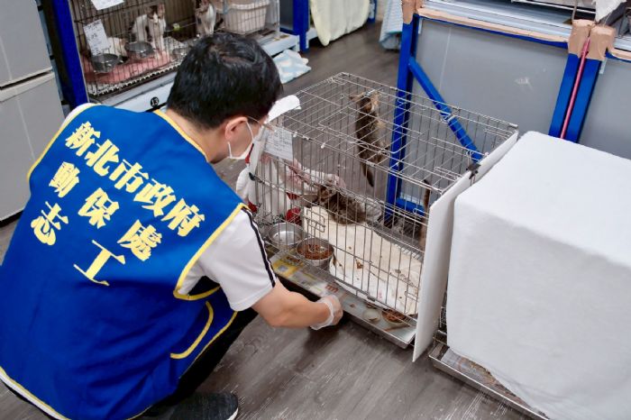 板橋動物之家獲「績優社會勞動機構」！十二年合作努力化作溫暖力量，陪伴毛孩與人一起被治癒