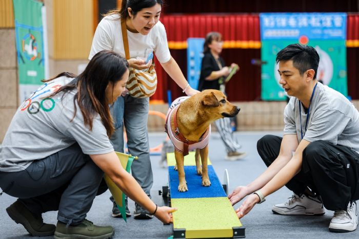 2025 台灣狗狗節 × 國民體育日 9月9日，與毛孩一起動出幸福能量