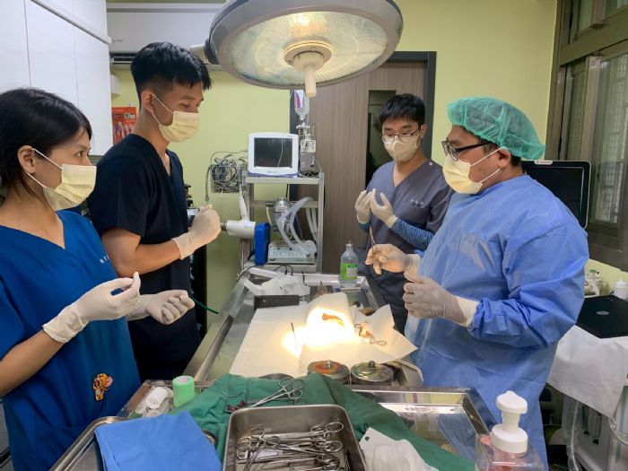 新北市動保處攜手大學獸醫系，暑期實習培育新世代守護者