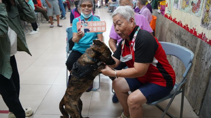 從街頭浪浪到長者心靈療癒師！屏東「豹抱」陪伴犬計畫，讓毛孩與阿公阿嬤共創幸福時光