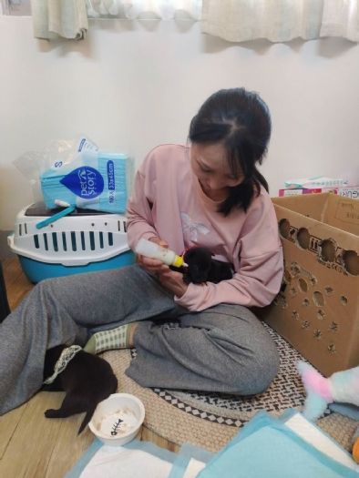 新北市流浪動物救援暖心紀實，代養家庭攜手守護毛孩，共築溫暖希望家園