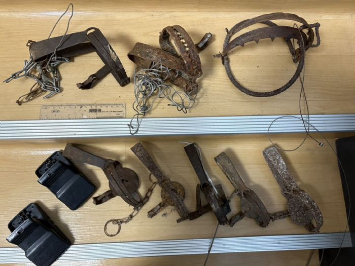 拆除陷阱守護生命！新北推動回收獎勵，攜手終結山區殘忍捕具