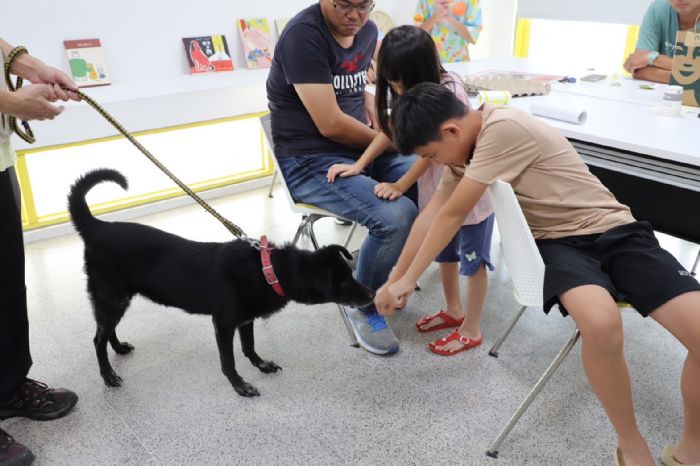 與毛孩相愛的第一步｜動保處舉辦「狗狗的家人時光遊戲課」溫暖登場