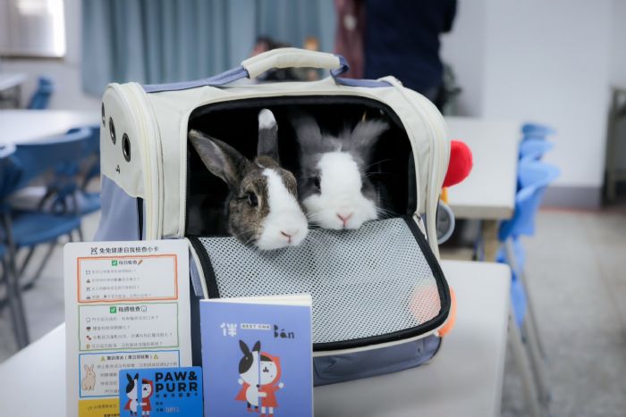 好伴兔兔講座熱鬧登場，百位飼主攜手守護毛茸小夥伴健康