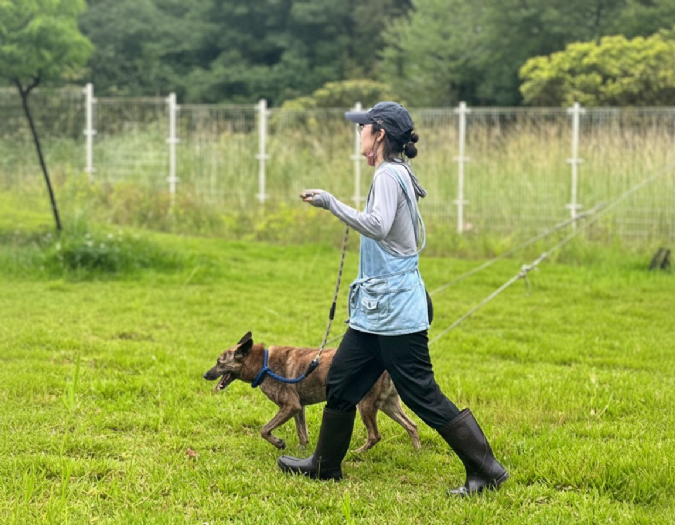 瑞芳動物之家照護再升級！專業團隊進駐，陪毛孩安心等待幸福新家