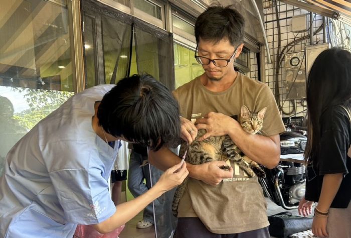 貓咪也要辦身分證！115 年起全面強制寵物登記，毛孩安全從晶片開始