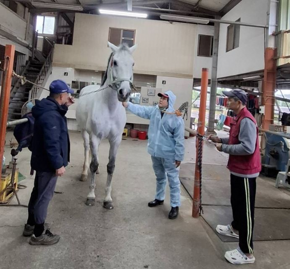 山海之間的溫柔守護 ——父子四十載馬場情，新北動保暖心接力，讓人馬故事繼續奔馳