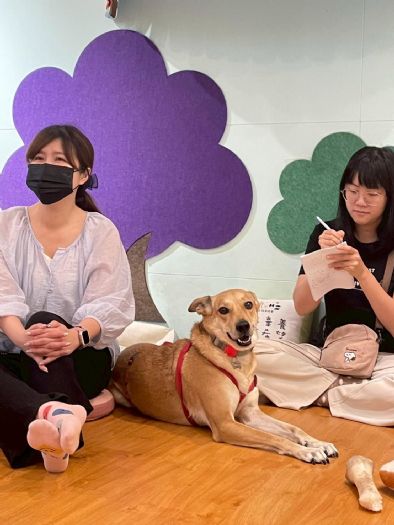 毛孩與飼主攜手成長，六週犬隻行為訓練課程溫暖結訓