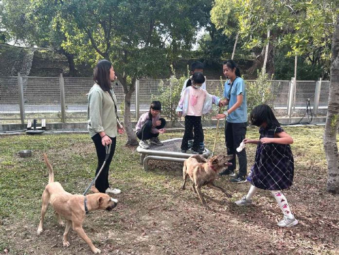 療癒犬陪你一起長大：動保深度課程打造孩子的自信與同理心