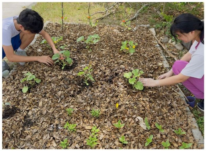 從廚餘到教學寶藏！校園惜食行動全面升級，迎向防疫與永續新時代