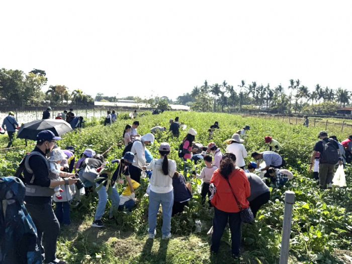 《蘿蔔仔逃走中‧變身小小農夫》火焰蟲非營利幼兒園體驗客庄農事文化