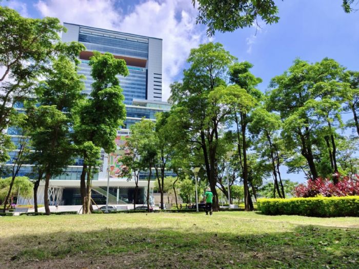 亞灣新光園道煥新迎賓｜城市綠帶升級、八月底完工，陪你把步伐放慢一點