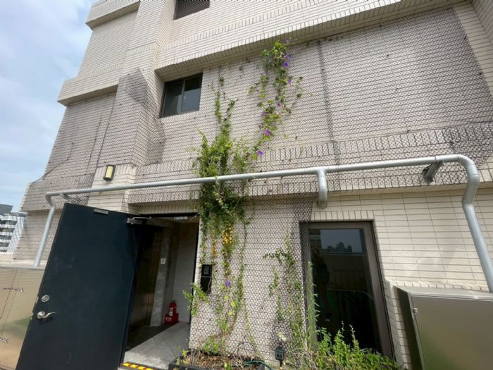 高雄建築綠化補助開跑！最高80萬元助社區打造降溫減碳新生活