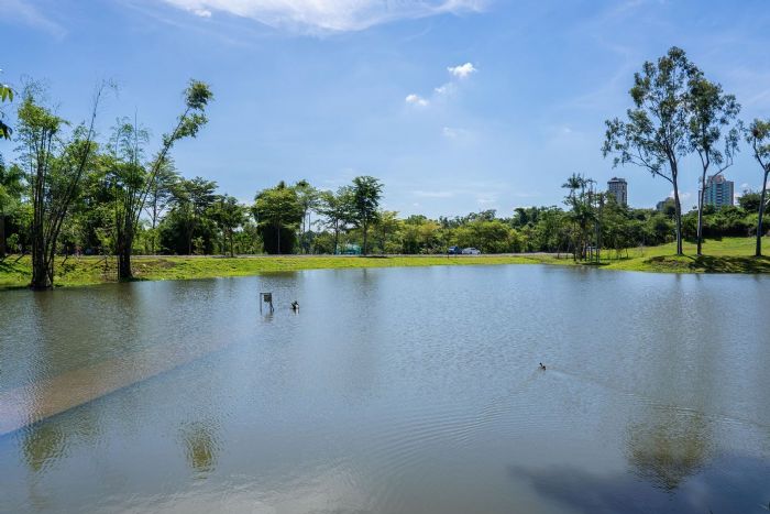 高雄果嶺自然公園即將亮相｜70公頃綠意打造城市中的生態秘境