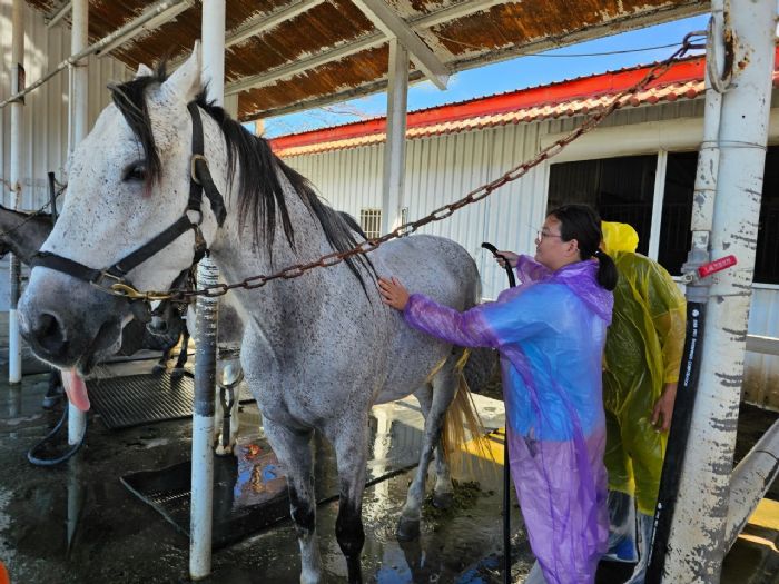 美和科技大學攜手特殊學生，築夢職涯多元發展，從洗馬工坊到高科技產業，陪伴每一步走向未來