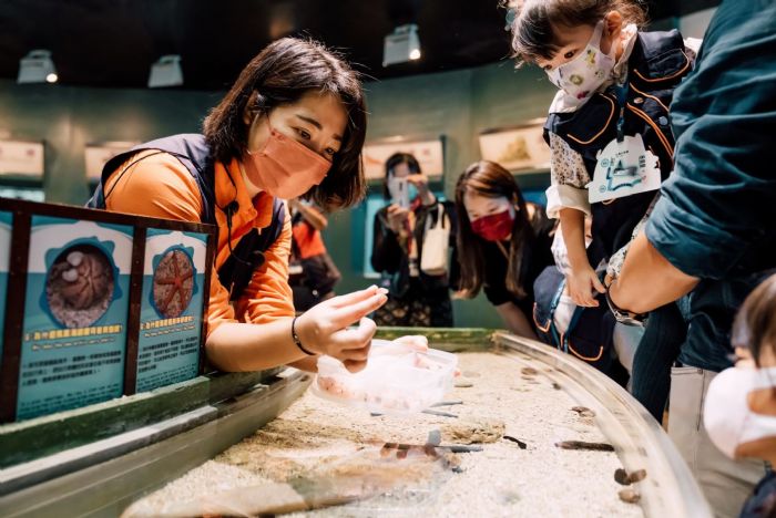 夜宿海生館「迷你解說員親子營」2026年登場，兩天一夜職人體驗，引領孩子探索海洋、培養表達力