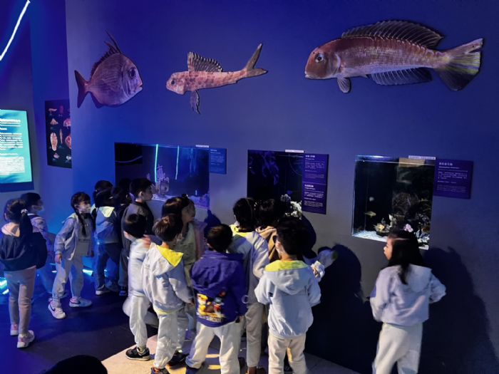 好評如潮！海科館「深海之境 2.0」沉浸幽暗氛圍，探索生命奧秘