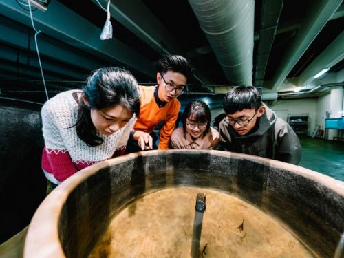 見證魚卵孵化前珍貴模樣  走入屏東海生館後場體驗生命的悸動 小丑魚卵上百顆小眼閃爍吸睛 鯊魚卵鞘中寶寶模樣引起驚呼