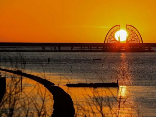臺南地景藝術「生命之樹」接續榮獲國際設計大獎美國「紐約建築設計獎」銀獎及英國「倫敦設計獎」金獎肯定