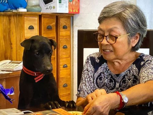 陶藝家與陶犬的故事：創作與陪伴的美好