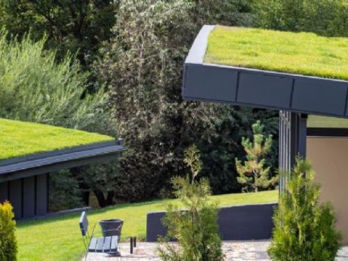 打造綠色家園，從家居開始追求質感與環保的完美結合！