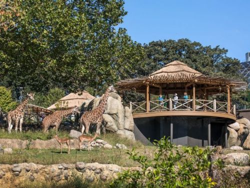 美國頂級動物園？ 美國 10Best 揭曉 2023 年讀者選擇獎