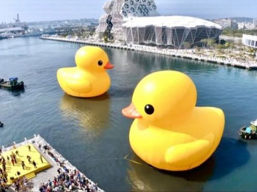 高市府推限量賞鴨航班  冬日遊樂園免費領票玩樂