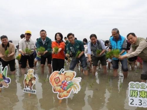 屏東熱博明年2月3日開幕 泰迪熊彩稻結合屏科園區地景迎新春