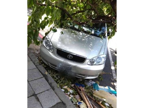 颱風期間的車輛停車政策更新：善解人意的措施