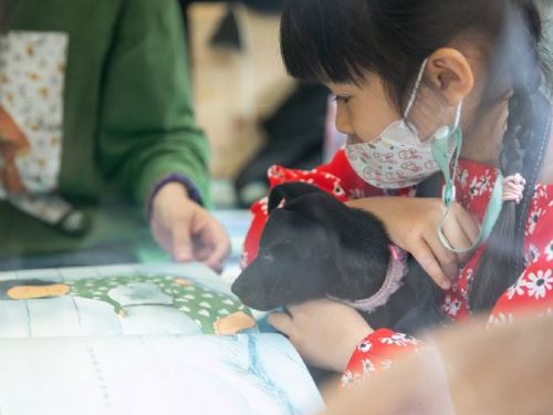 暑假與狗狗一起到圖書館共讀！