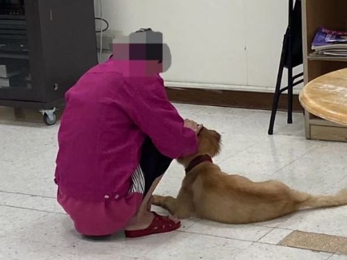 寵物犬小黃在台中榮總嘉義分院的精神病房中的溫情陪伴