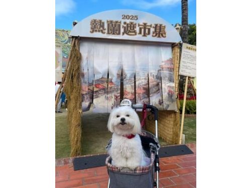 寵物友善活動開跑！臺南邀您攜毛寶貝共遊文化景點