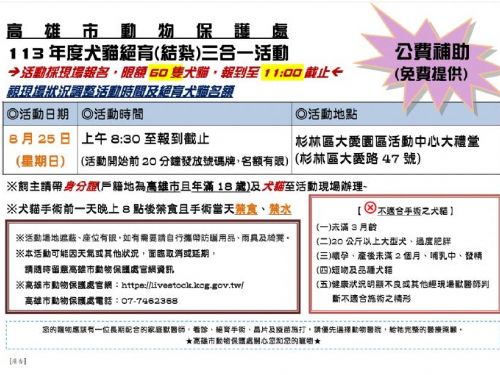 高雄市犬貓絕育三合一活動：歡迎市民攜愛寵參與！