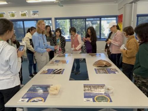 114年中小學國際教育教師出國培力計畫開放報名，助力教師拓展國際視野