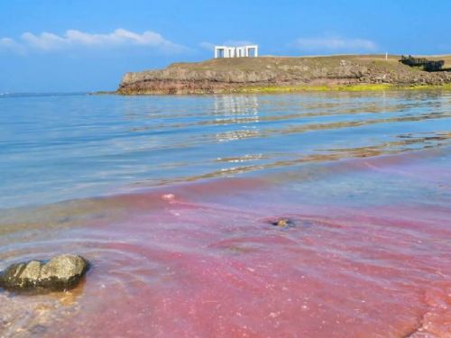 澎湖的神奇粉紅沙灘：令人難以置信的自然奇景