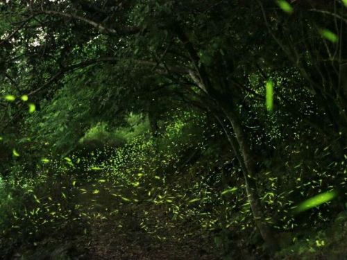 臺南溫泉再奪全國第一　連九年獲優等肯定打造台灣最強泡湯城