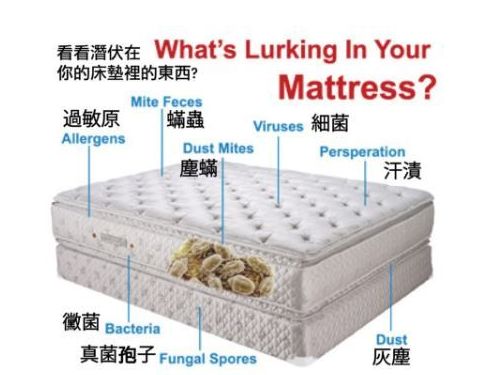 六招擊退潛伏在你床墊裡的塵蟎害蟲！揭秘蘇打粉的神奇功效