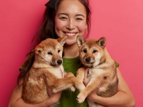 台北六福萬怡酒店推出「國際寵物月」專案：寵物友善宴會享樂，同時支持動物保育