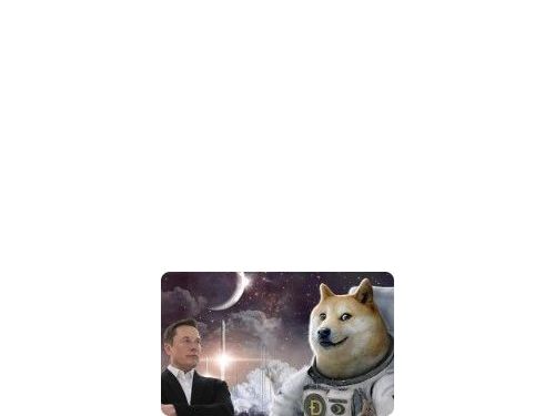 馬斯克尋求結束2580億美元的“狗狗幣”訴訟