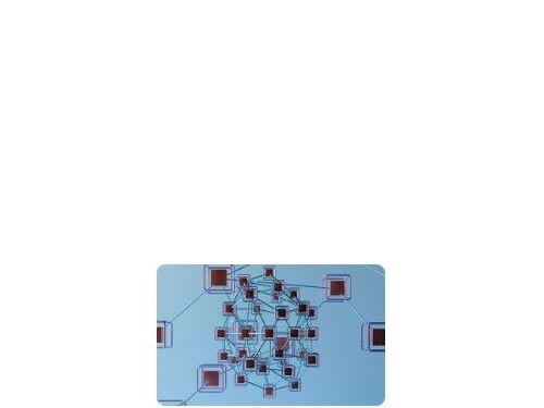 Nansen：看透加密世界的終極工具 區塊鏈分析