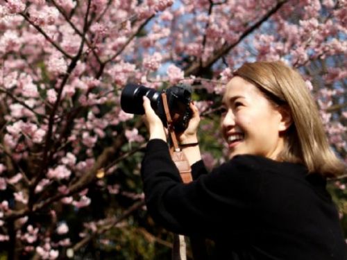 本宣布5月8日起解除邊境防疫措施　赴日旅遊免3劑疫苗證明