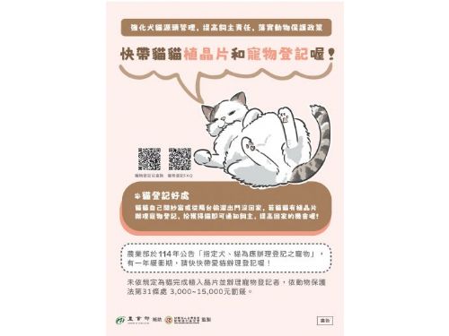 喵星人有了身分證！貓咪登記及晶片植入新規自115年1月1日起生效