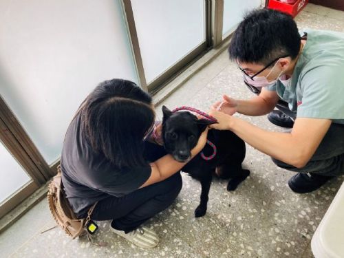 北市守護毛孩健康！42場山區巡迴免費狂犬病疫苗活動熱情開跑