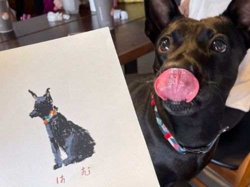 台北六福萬怡酒店推出「寵物住房專案」：飼主享用Buffet與似顏繪體驗课