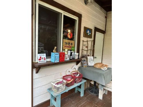 打造溫馨寵物友善城市：苗栗推動寵物友善店家，促進人寵共融生活