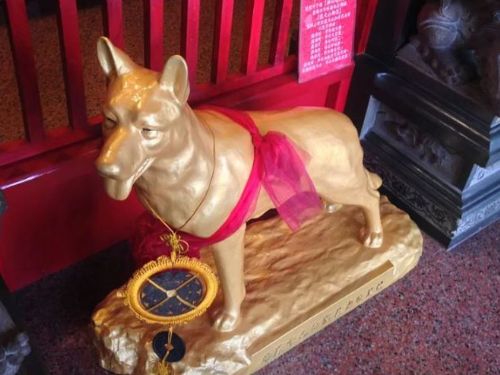 「義犬將軍」，官方認證動物神，為毛小孩點燈祈福