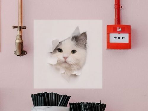 讓你的牆面更有魅力的創意選擇！