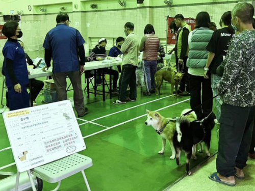 高雄市動物保護處舉辦偏鄉巡迴犬貓絕育活動，居民踴躍參與