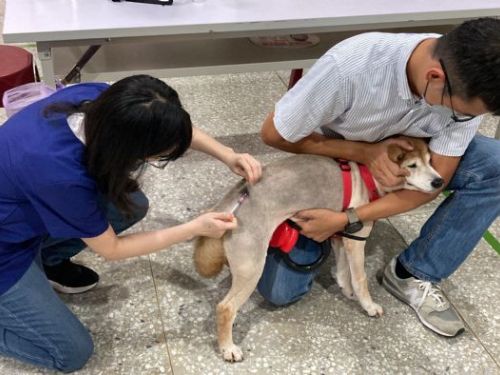 臺北市動保處推動狂犬病防疫，開展山區鄰里家犬貓巡迴注射活動